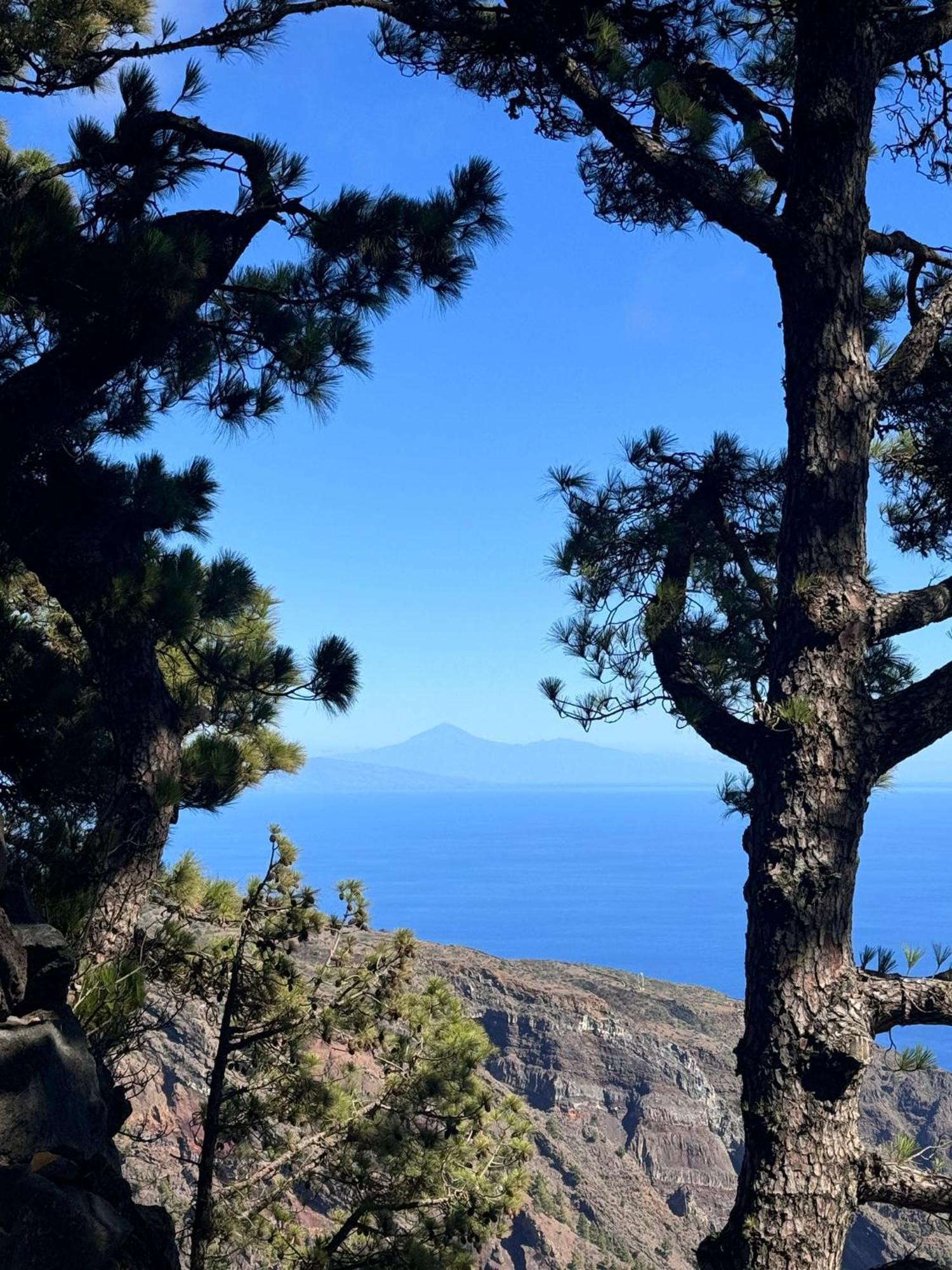 Apartamento El Rincon La Restinga Δωμάτιο φωτογραφία